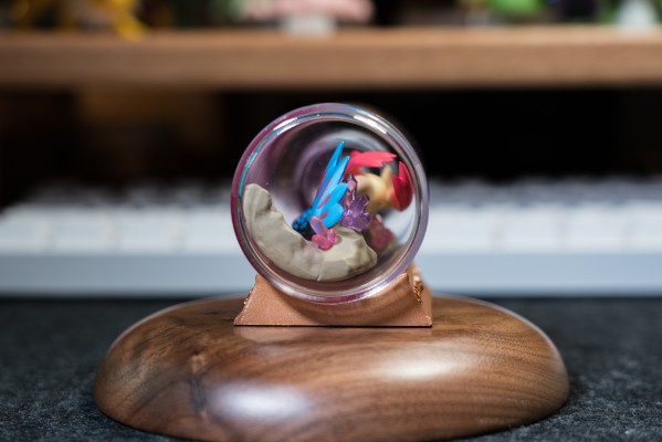 宝可梦 水瓶系列 相逢岸边美景