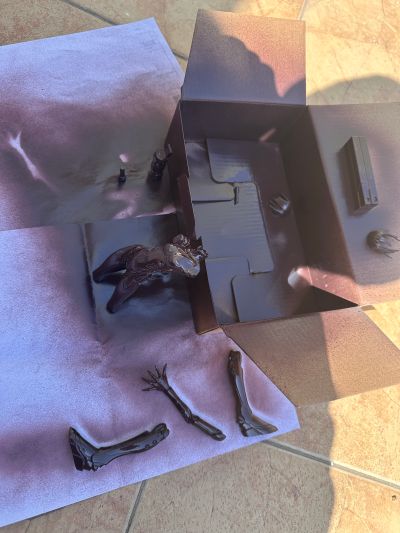 ブラム! サナカン 