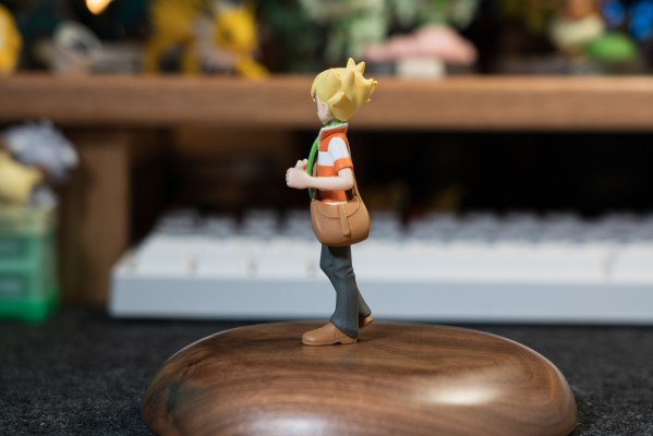 宝可梦比例世界 神奥地区 阿驯+树林龟+姆克鹰