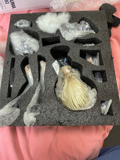 蔚蓝档案 飞鸟马时 兔女郎ver.