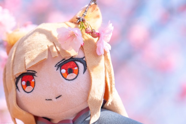 狼与香辛料 merchant meets the wise wolf 大尺寸40公分毛绒玩偶 赫萝