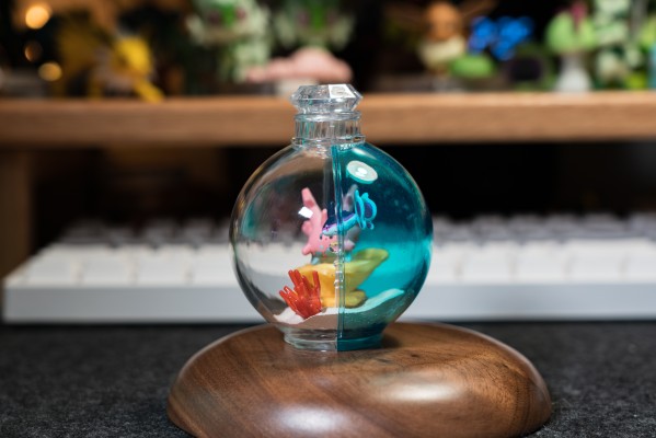 宝可梦 水瓶系列 相逢岸边美景