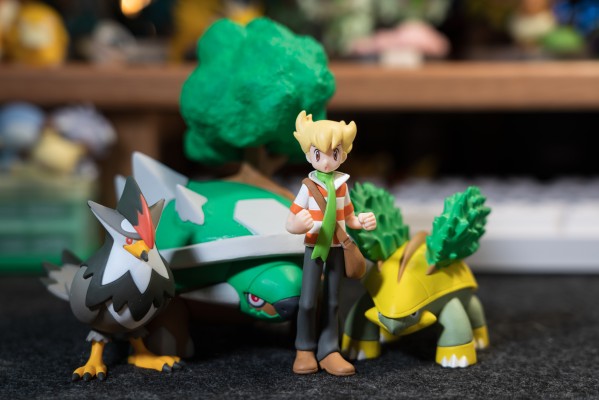 宝可梦比例世界 神奥地区 阿驯+树林龟+姆克鹰