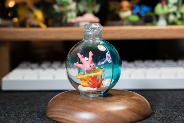 宝可梦 水瓶系列 相逢岸边美景