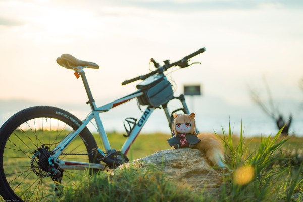 狼与香辛料 merchant meets the wise wolf 大尺寸40公分毛绒玩偶 赫萝