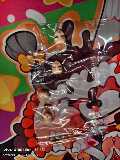 创彩少女庭园 放学后 雨伞套装