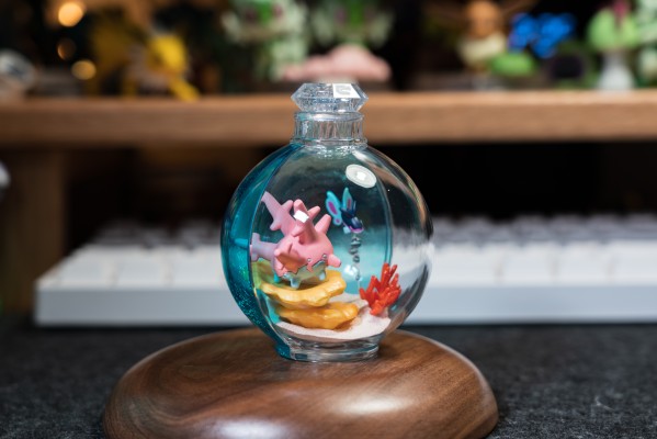 宝可梦 水瓶系列 相逢岸边美景