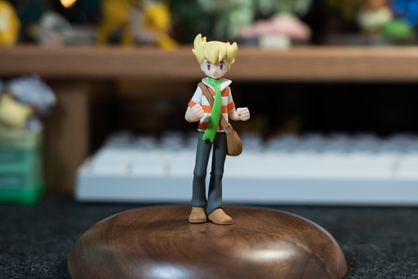 宝可梦比例世界 神奥地区 阿驯+树林龟+姆克鹰