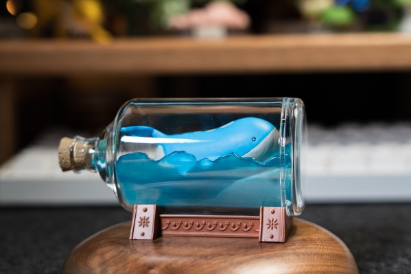 宝可梦 水瓶系列 相逢岸边美景