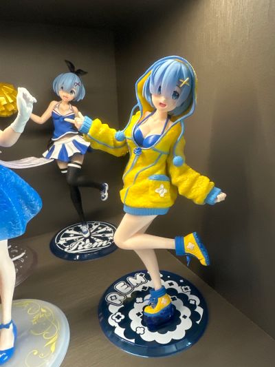 PCS Re：从零开始的异世界生活 蕾姆 毛茸茸连帽衫 新装版