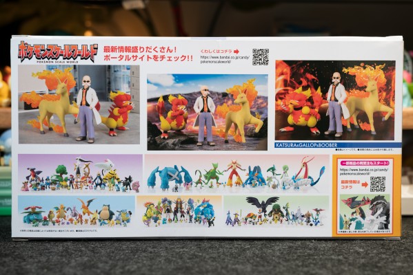 宝可梦比例世界 关都地区 夏伯+烈焰马+鸭嘴火兽