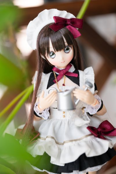 POD051-HWR Colorful Dreamin'/仙境里的叶鸟心音 罗莎莉黑