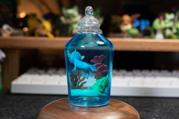 宝可梦 水瓶系列 相逢岸边美景