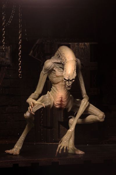 NECA 异形 7 英寸比例可动人偶豪华版 异形4:复活 新生儿（逆种）