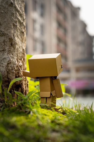 玩具箱里乱扔也OK软胶2  四叶妹妹！ 阿楞