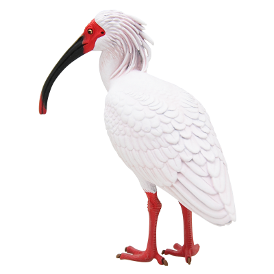 日本自然 日本的生物2