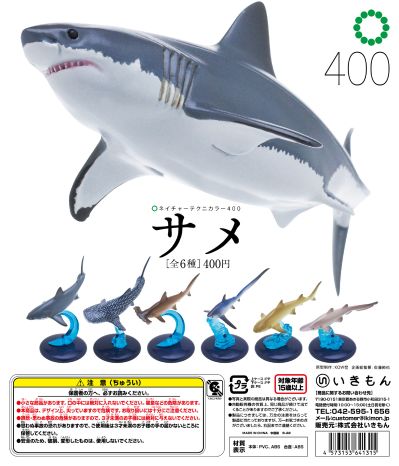 自然科技色彩-400 鲨鱼
