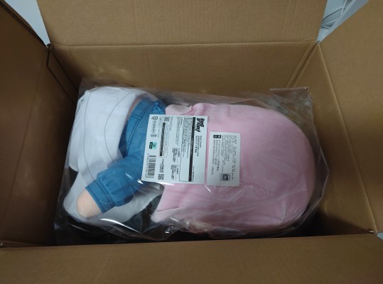 大尺寸40公分玩偶 迷途之子！！！！！ 高松灯/千早爱音