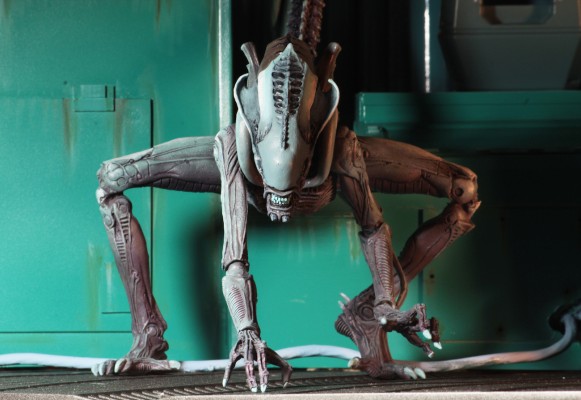 NECA 异形大战铁血战士 街机版 蜘网异形 可动人偶