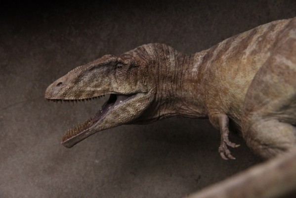 鲨齿龙 1996版 gk雕像