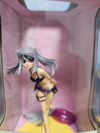 沙滩女王 IS〈无限斯特托拉斯〉 劳拉・博德维希