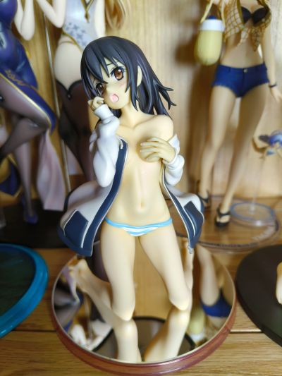 噬血狂袭 姬柊雪菜