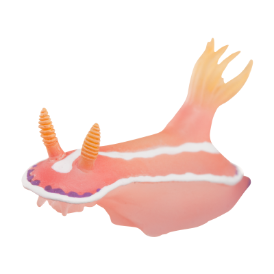 NTC MONO+ 海蛞蝓造型磁铁吸