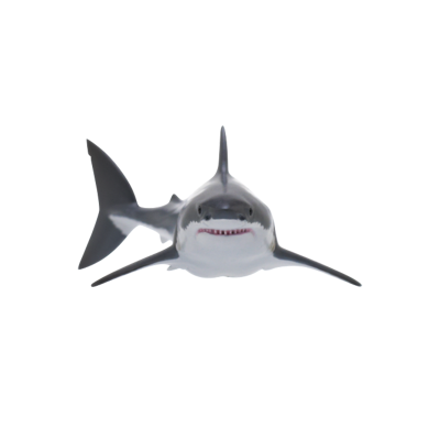 自然科技色彩-400 鲨鱼