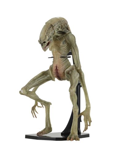 NECA 异形 7 英寸比例可动人偶豪华版 异形4:复活 新生儿（逆种）
