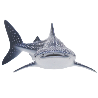 自然科技色彩-400 鲨鱼