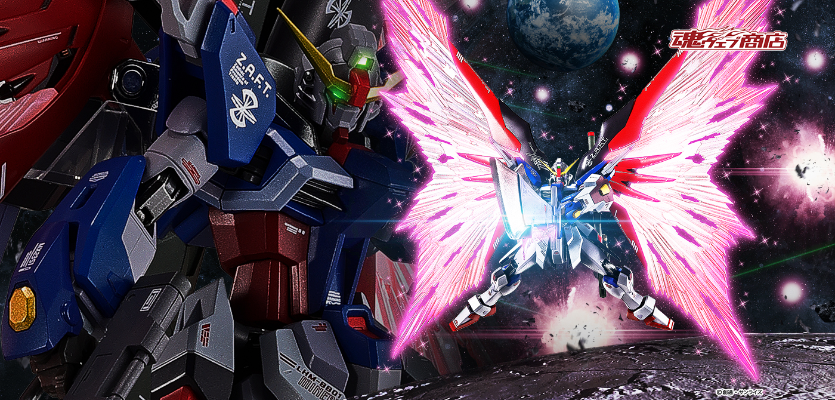 METAL ROBOT魂 ＜机动战士系列＞ 命运高达［Re:Coordinate］专用光之翼与特效配件包