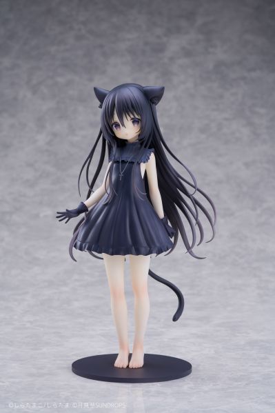 星空列车与白的旅行 诺瓦