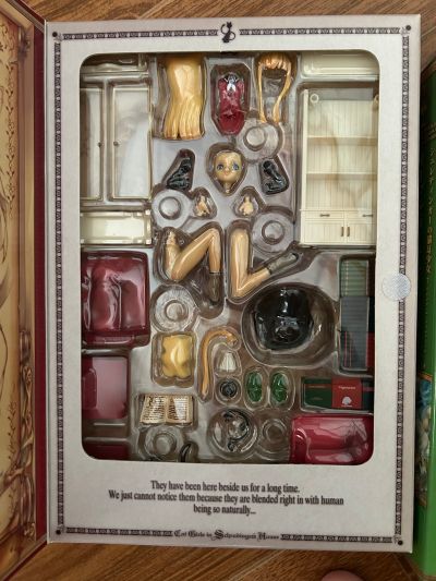 シュレディンガーの猫耳少女 西尔维娅・伊维凯の考察 