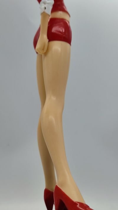 Rio HGフィギュア ２種セット 