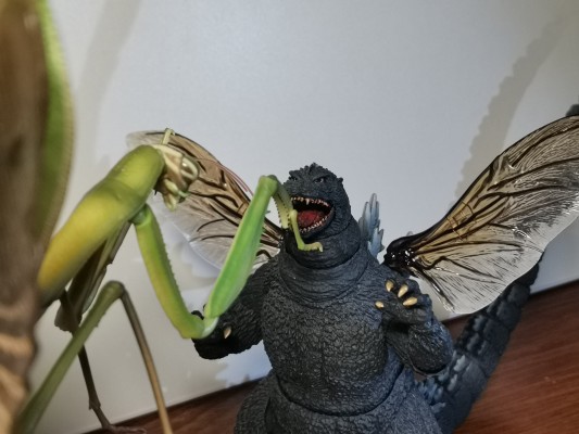 进化生物大图鉴 枯叶螳螂 与 中华剑角蝗 展示架套装