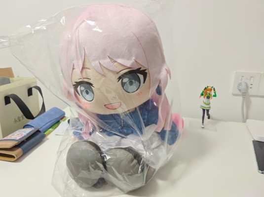 大尺寸40公分玩偶 迷途之子！！！！！ 高松灯/千早爱音