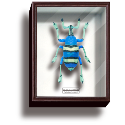 STC德国盒磁铁系列4