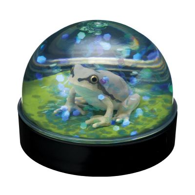 水穹顶工厂 日本雨蛙