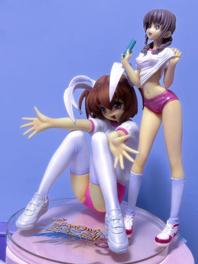 DreamTech Pia♥キャロットへ阳子そ!!3 爱沢友美 Gym Uniform Ver. (Pink Color) Limited 