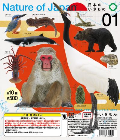 日本自然 日本的生物1