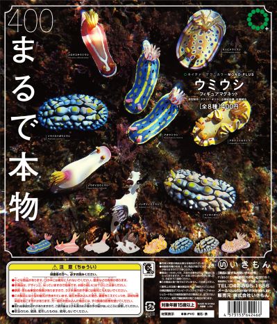 NTC MONO+ 海蛞蝓造型磁铁吸