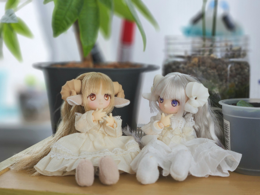 DIA002-MAN 迪亚斯 MUGUET×AkaiCamera 妮姆/～睡觉的小羊羔～ AZONE网上商店限定