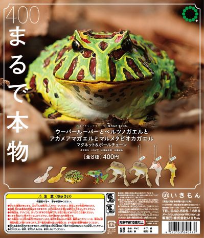 NTC MONO+ 六角恐龙与角蛙与红眼树蛙与番茄蛙 挂链&磁铁