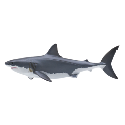 自然科技色彩-400 鲨鱼