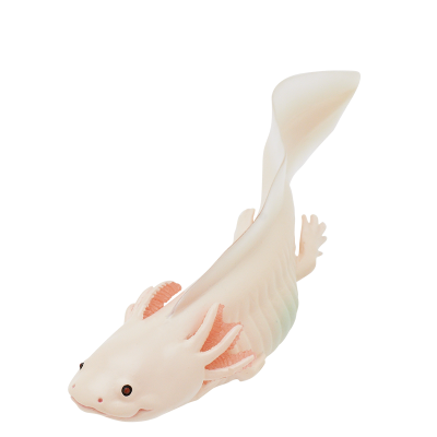 NTC MONO+ 六角恐龙与角蛙与红眼树蛙与番茄蛙 挂链&磁铁