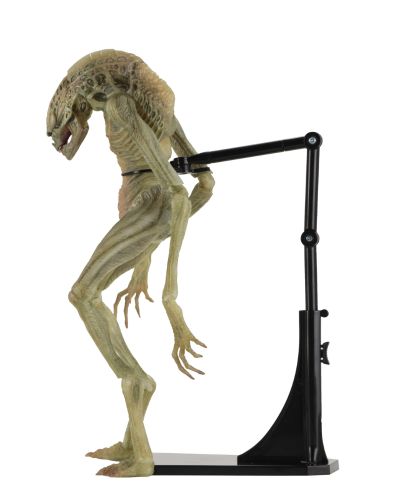 NECA 异形 7 英寸比例可动人偶豪华版 异形4:复活 新生儿（逆种）