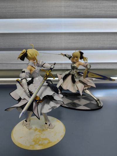 Fate/unlimited codes Saber・Lily