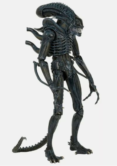 NECA 异形 1/4 比例战士可动人偶（1986 年版）