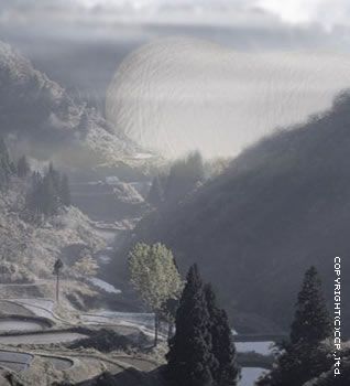 PLEX×CCP合作系列 Vol.002 摩斯拉的茧套装（普通，蓄光Ver.）