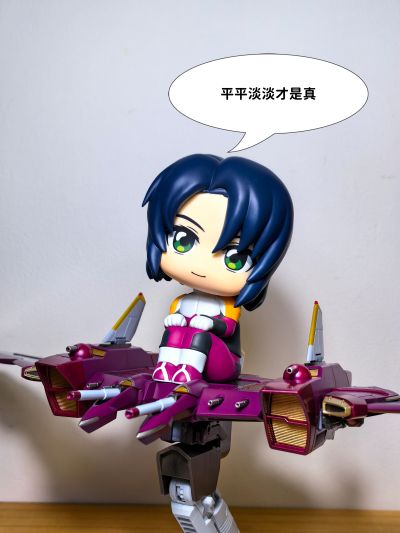 Look Up 机动战士高达SEED FREEDOM 阿斯兰·萨拉